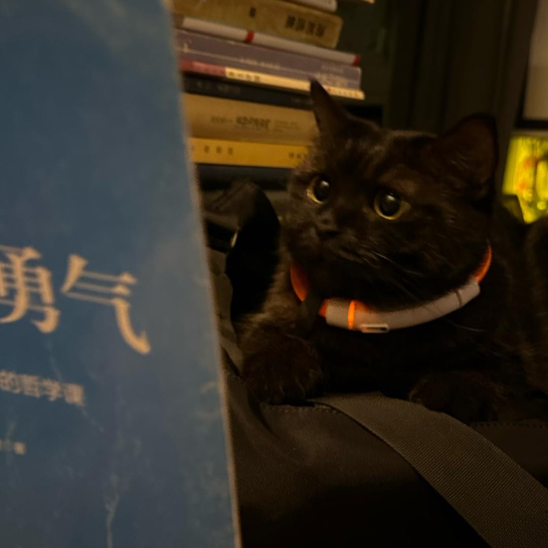 肖俊桀JacksonXao