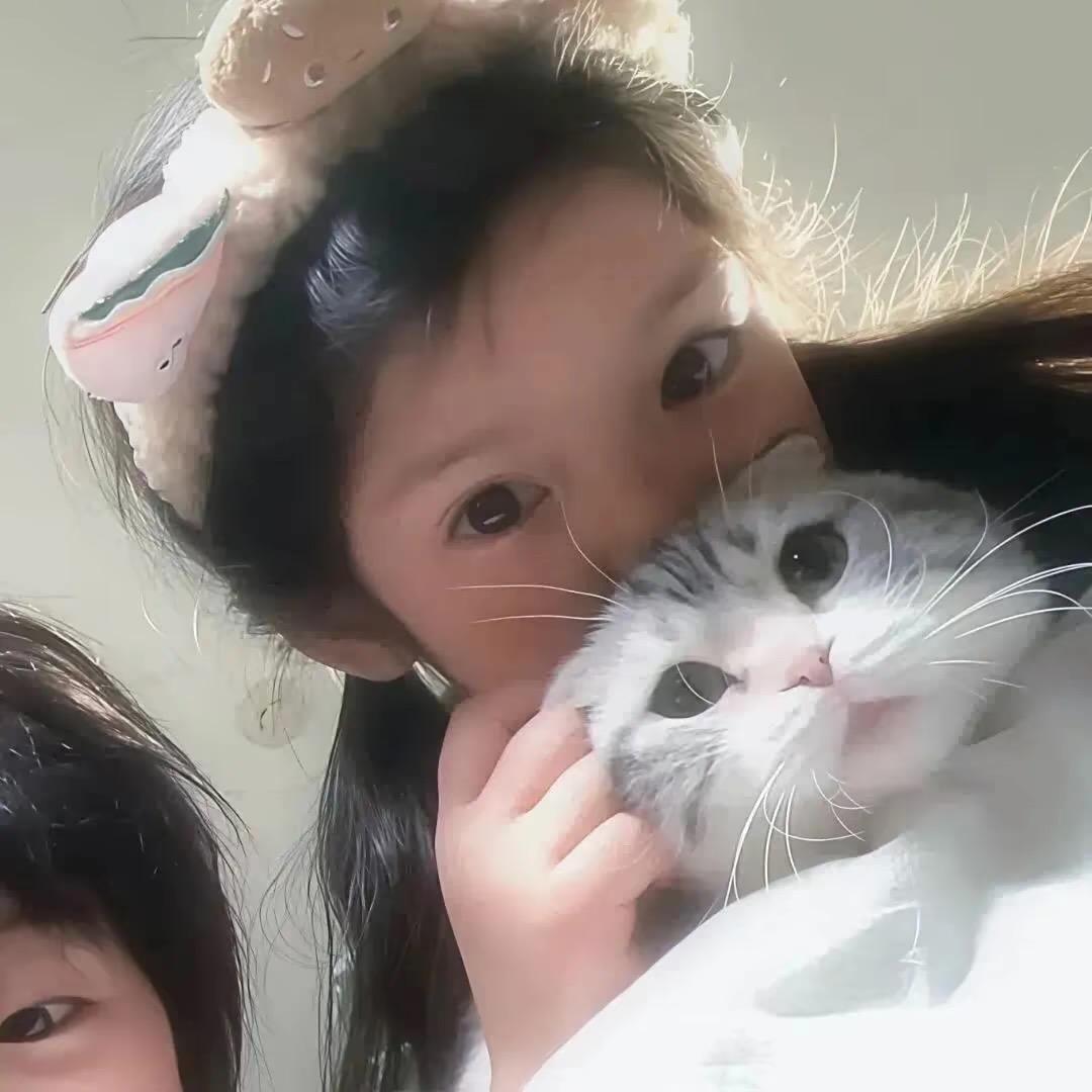 苗i