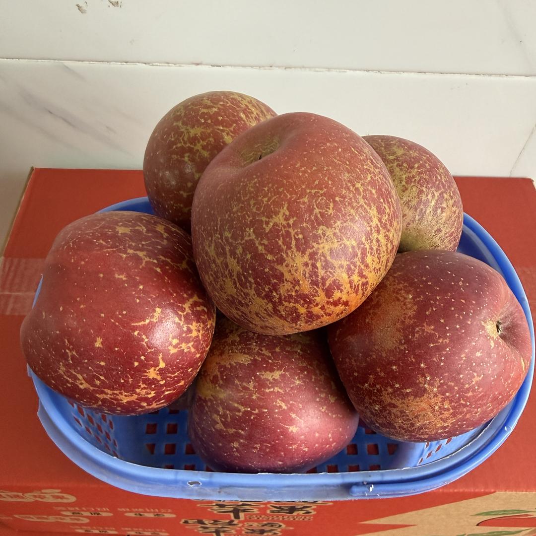 昭阳区农嘟嘟农产品店（个体工商户）