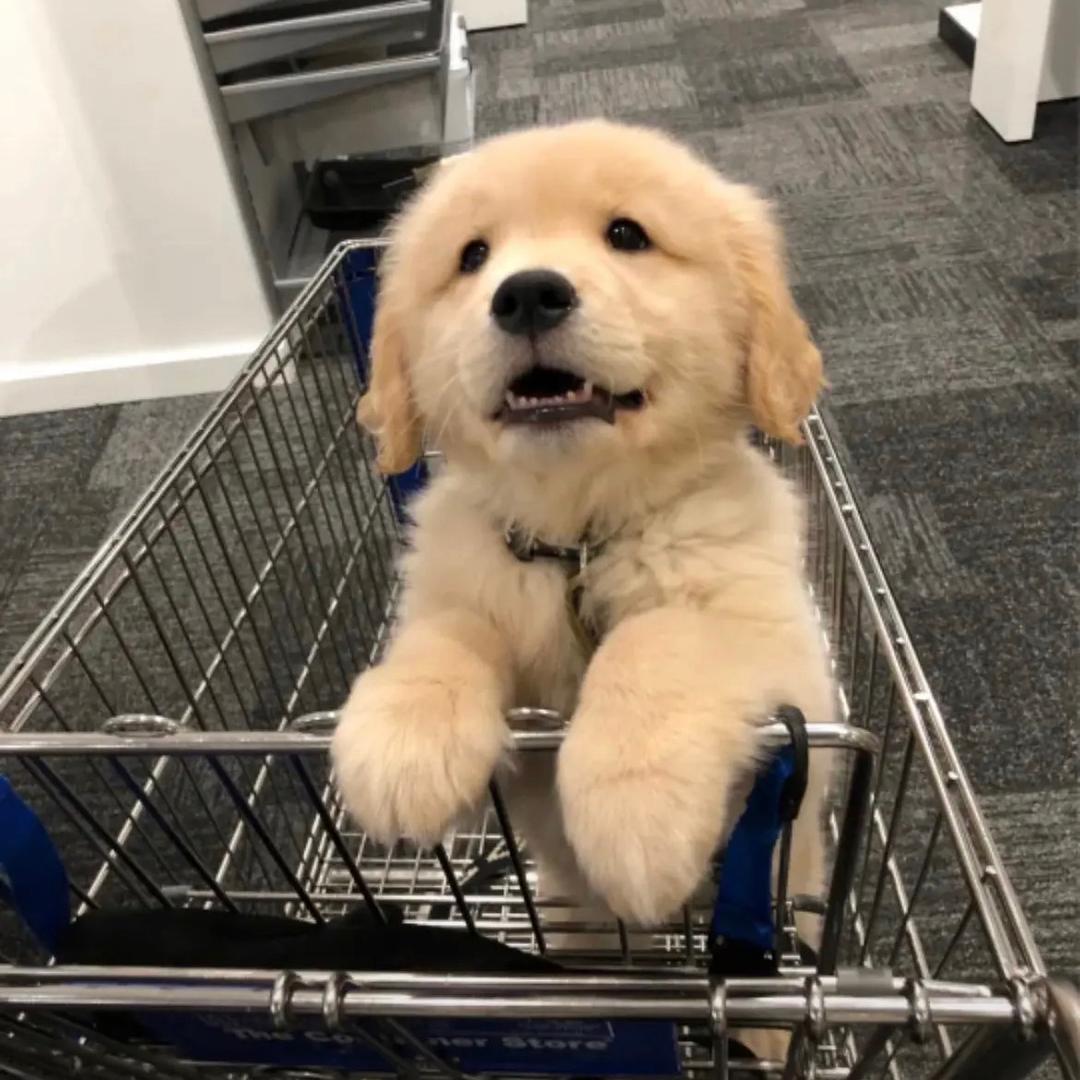 逗豆逗豆子子子