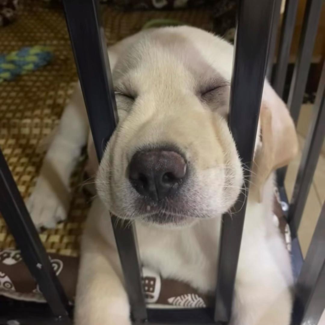 我真的不困
