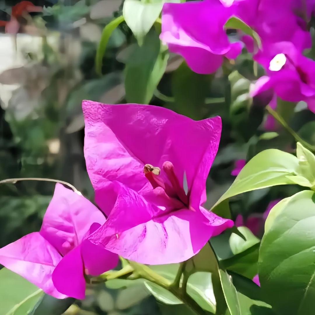 出让百货