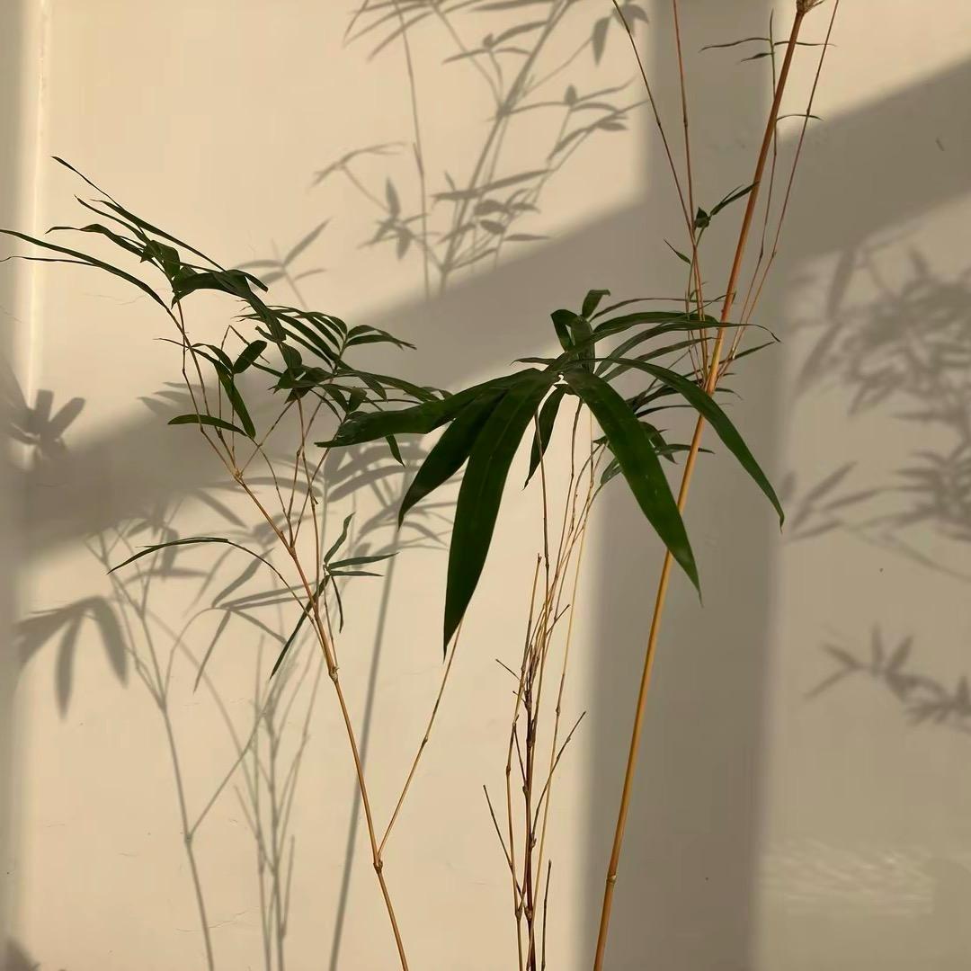 乔清余.