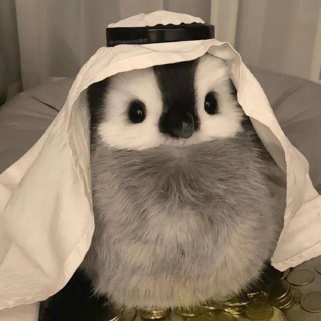 l.