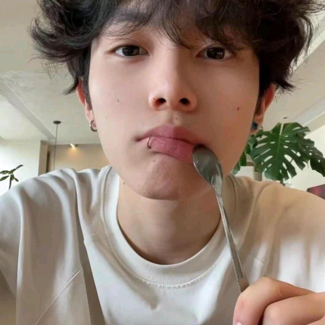 黑长直的狗