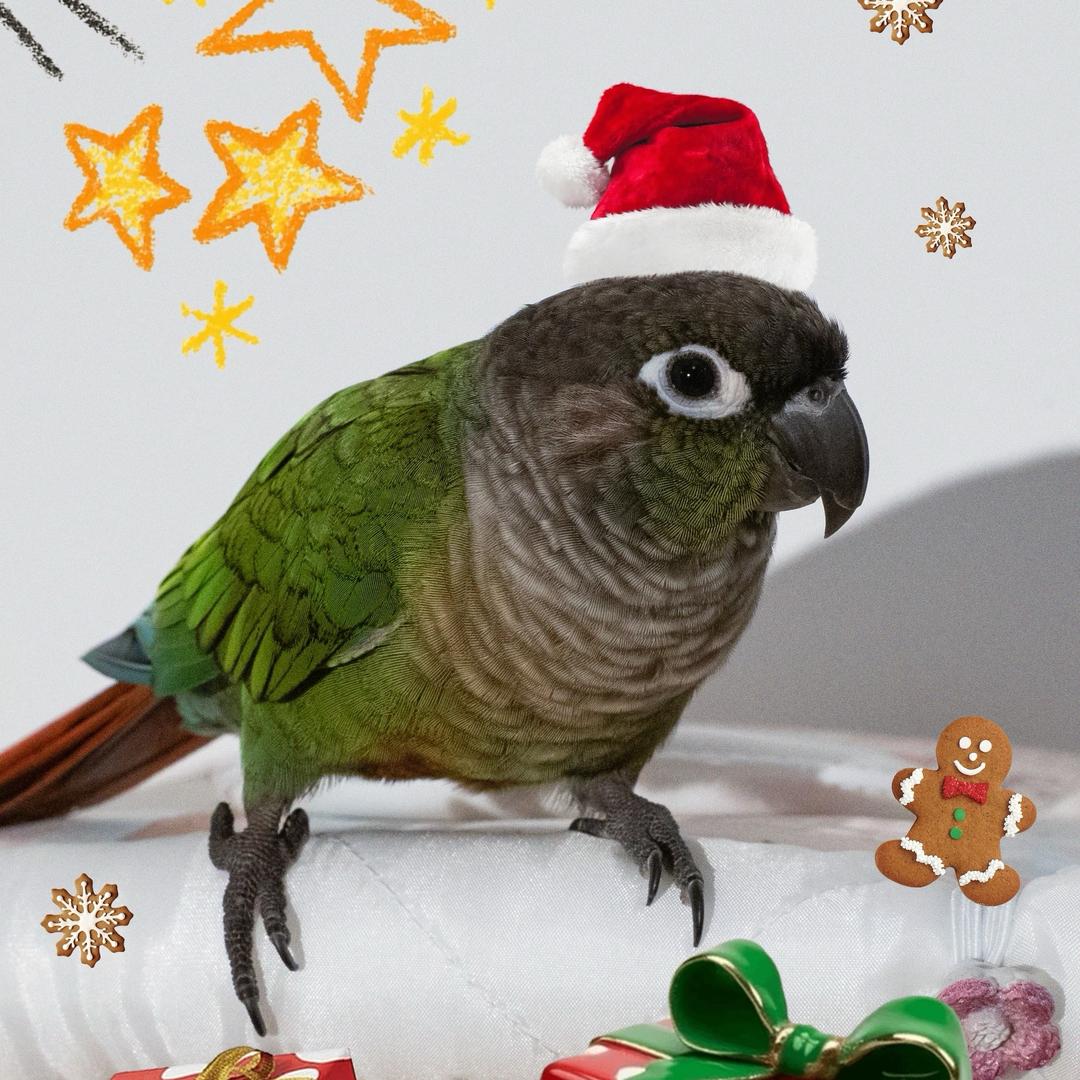 呀哈哈✌︎˶╹ꇴ╹˶ ✌︎