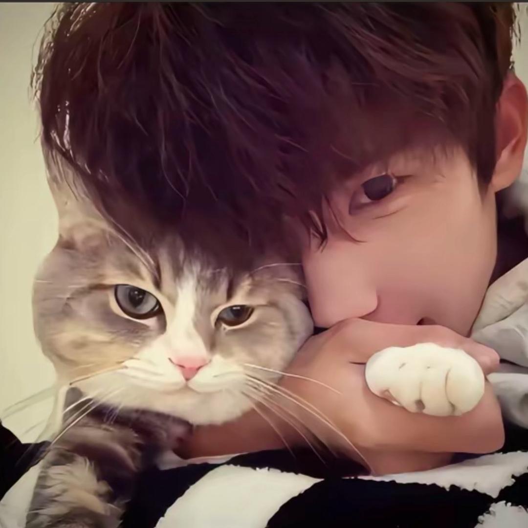 子木（减脂中）