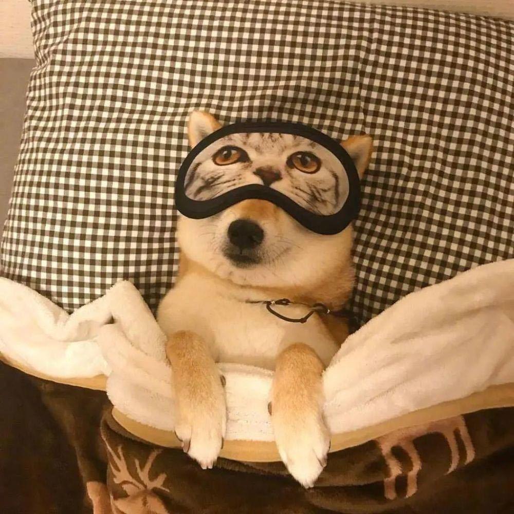 十七..