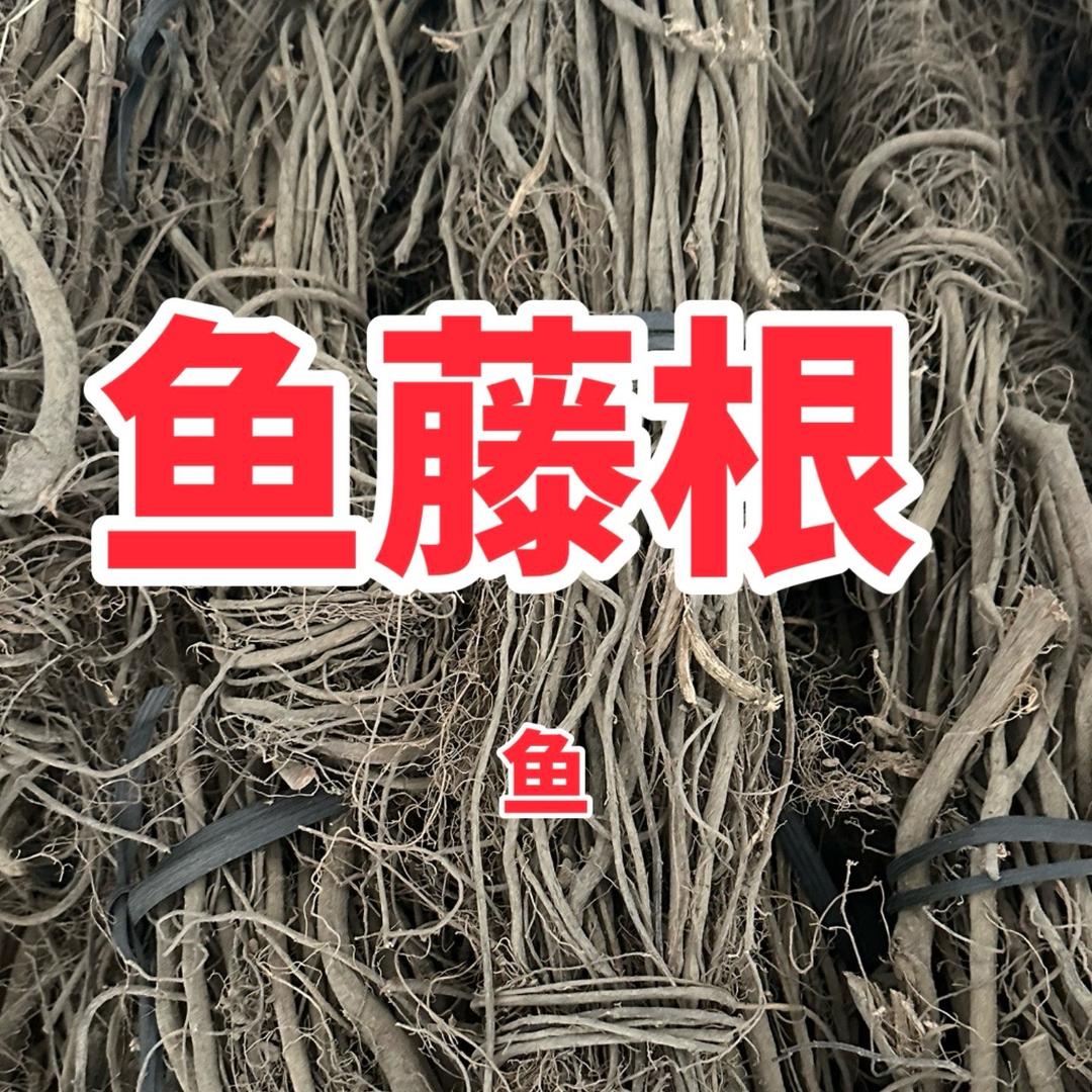 中洋水产（鱼藤根和粉批发）