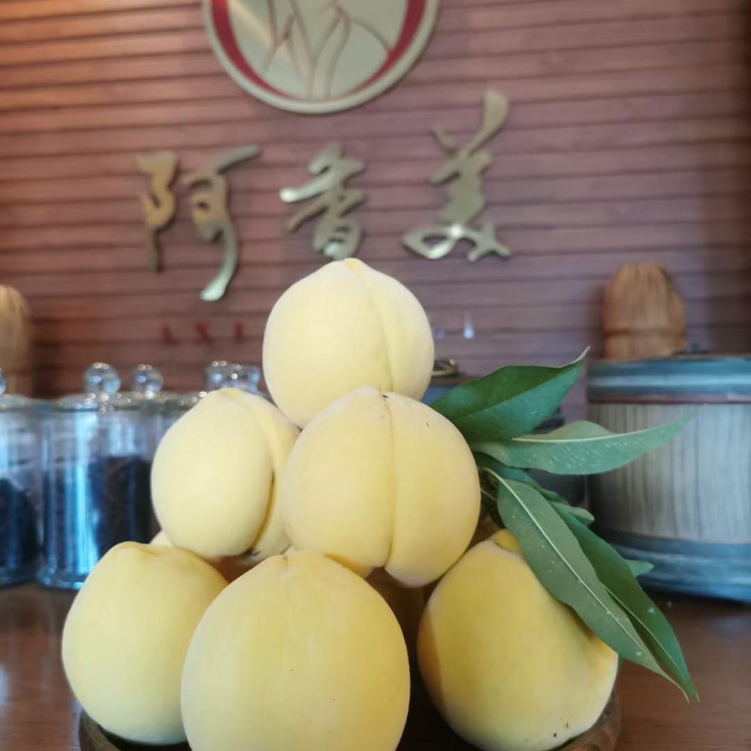 茶果飘香金双连精选店