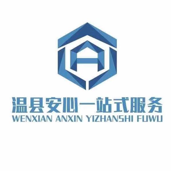 臻安心汽车有限公司