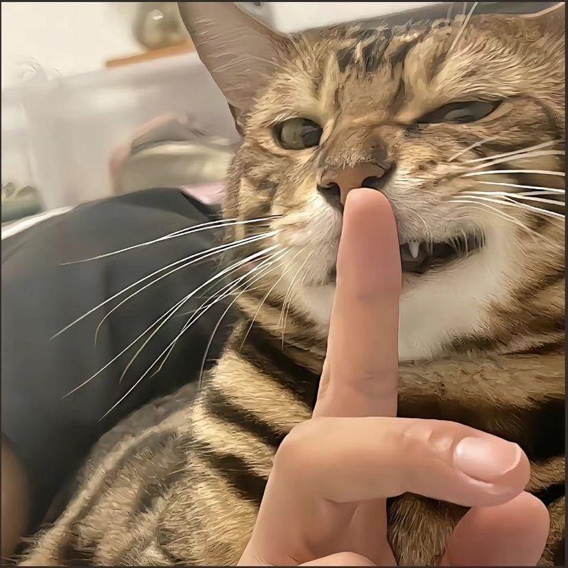 😘三玖