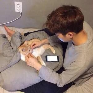 呆头鹅ㅤㅤ 　 ㅤㅤㅤㅤㅤㅤㅤㅤㅤㅤㅤㅤ