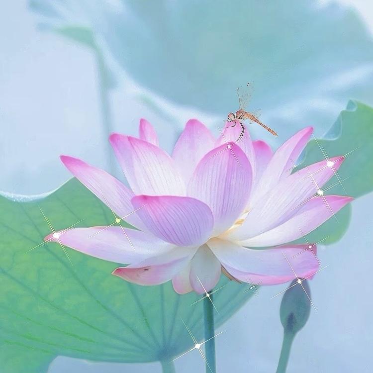 如来寺如愿文创