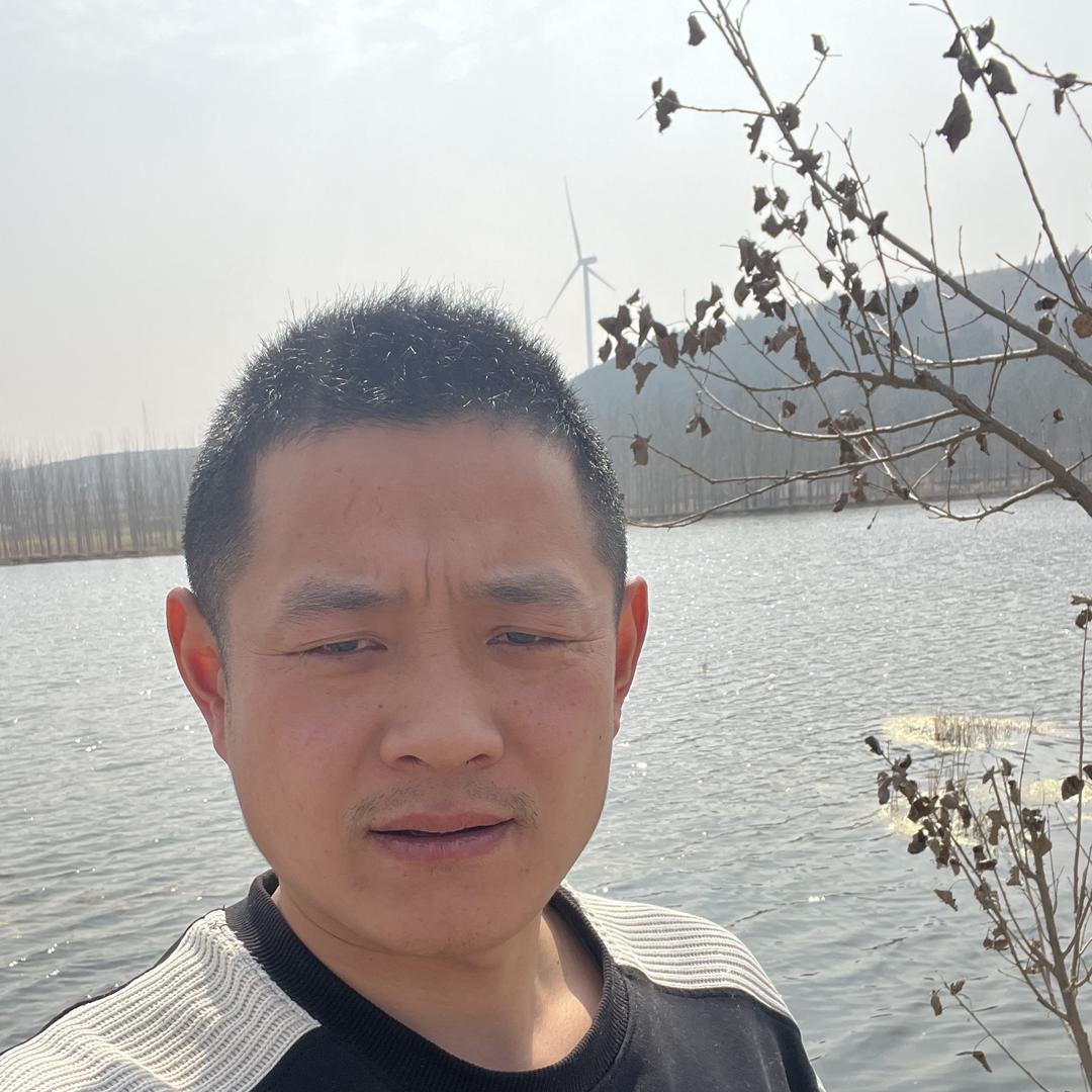 航弟宠物