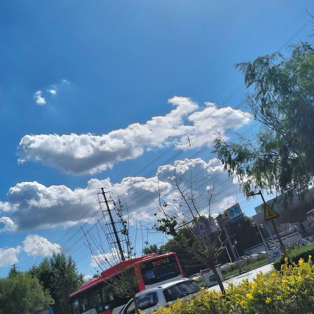 always玥宝