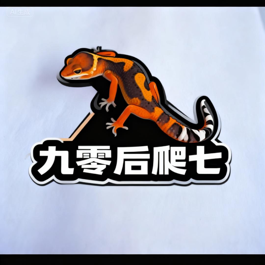九零后爬七工作室