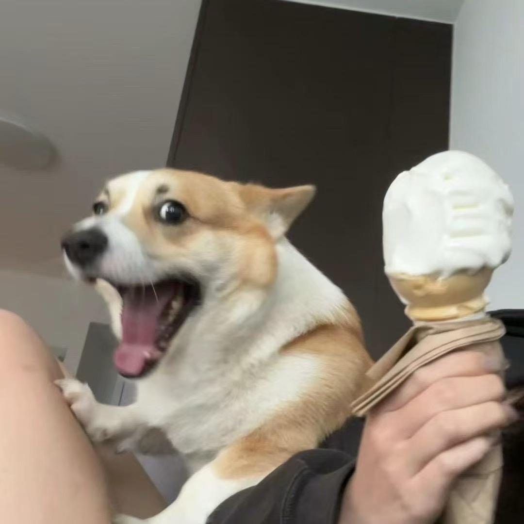 阿联酋土鳖村儿冠军🏆