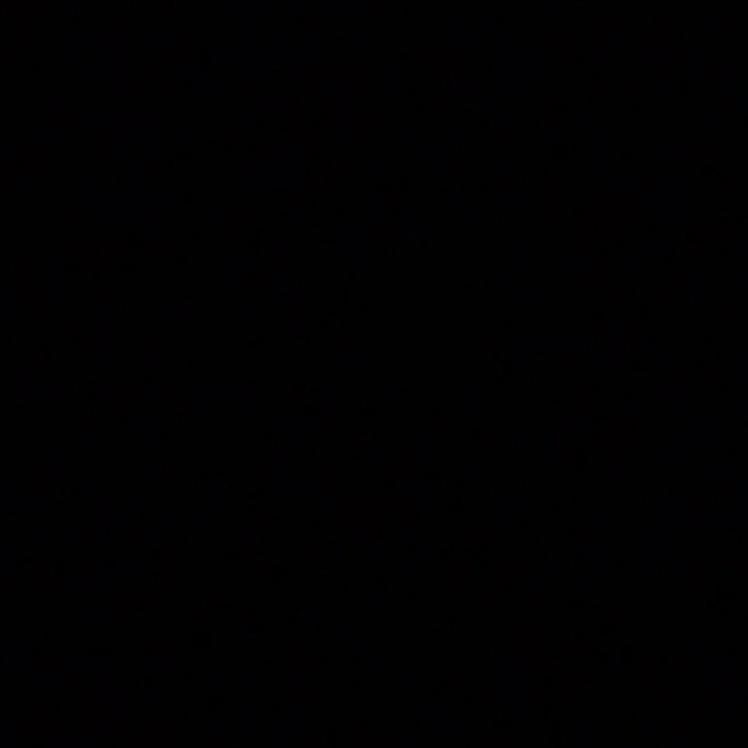老张头的日常
