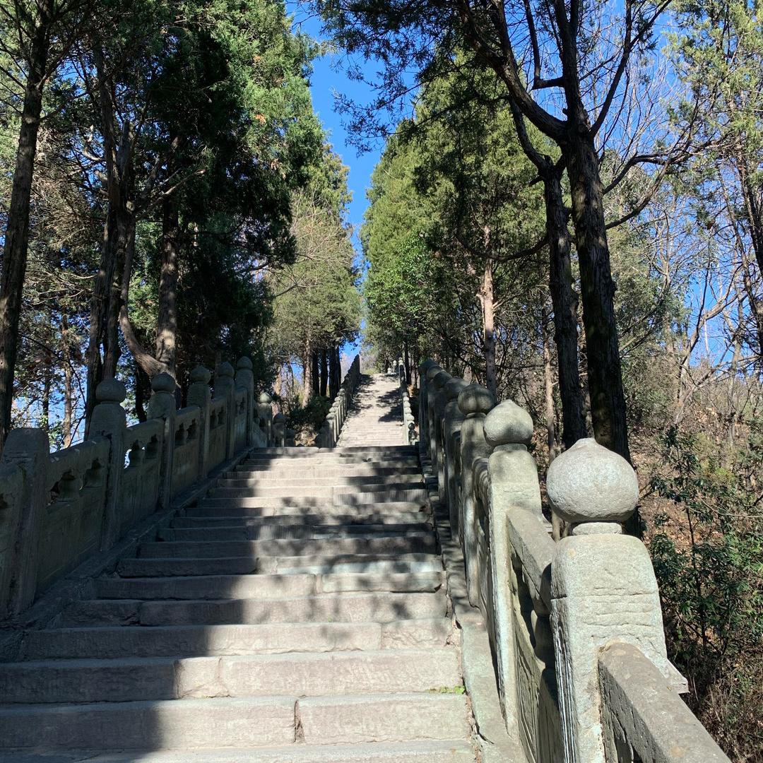 燕衔泥