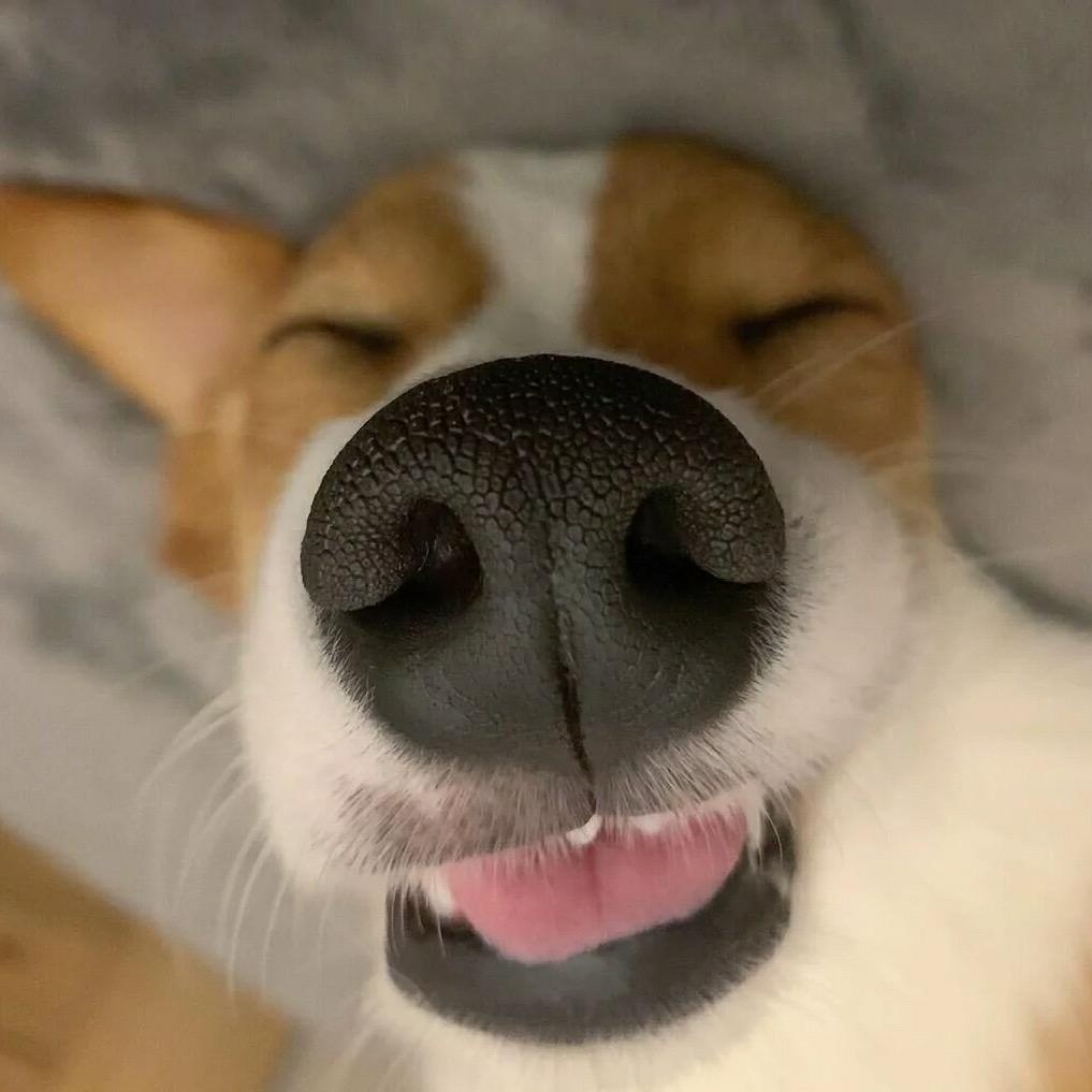 🌈马内