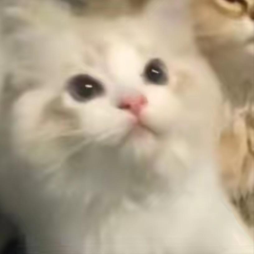 阿鱼
