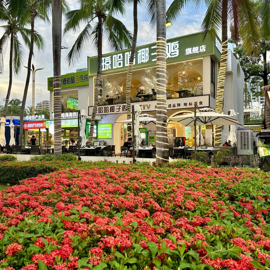 琼哈哈椰子鸡糟粕醋