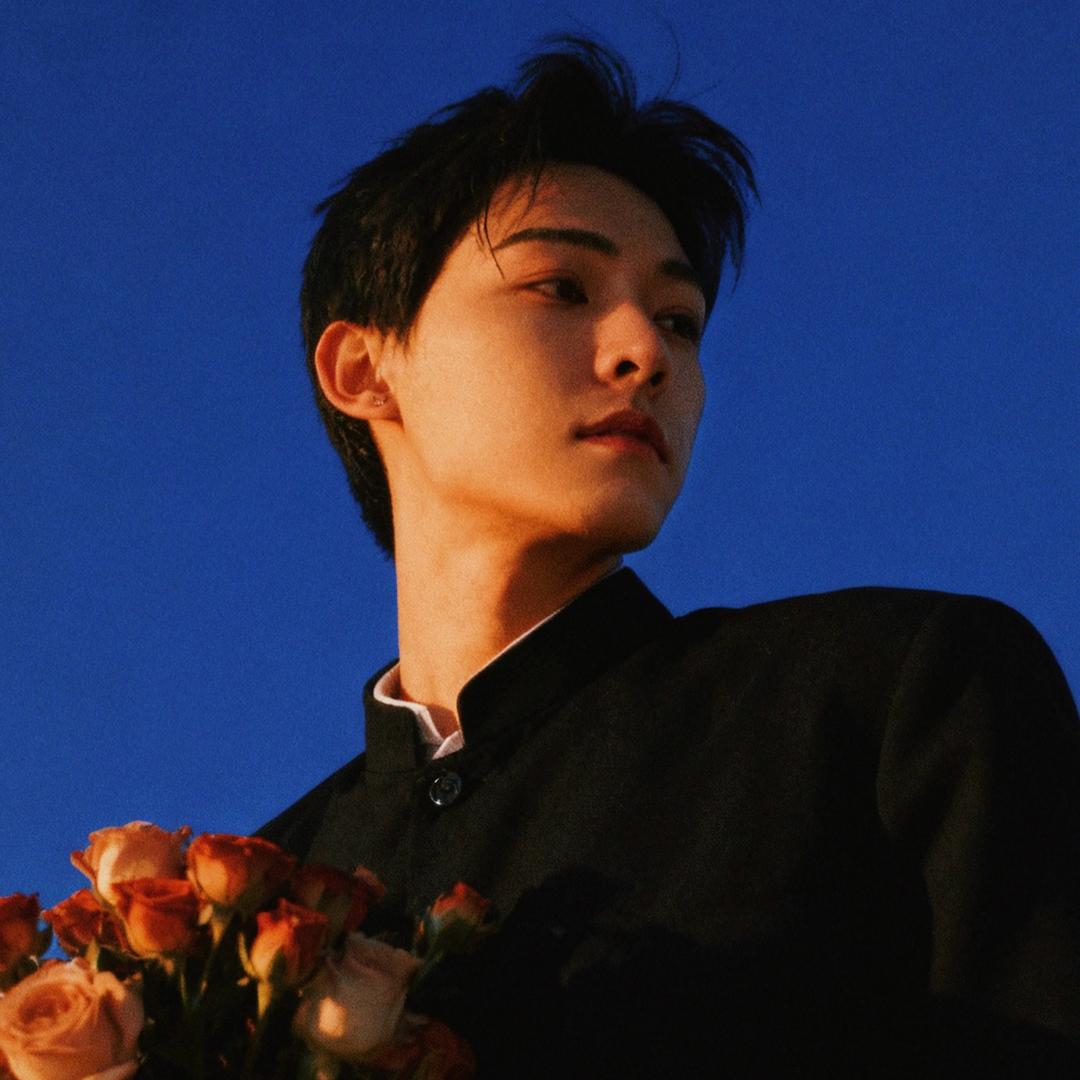 肥嘟嘟左卫门大冒险