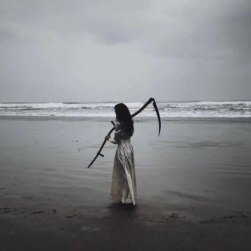 樱花甄选