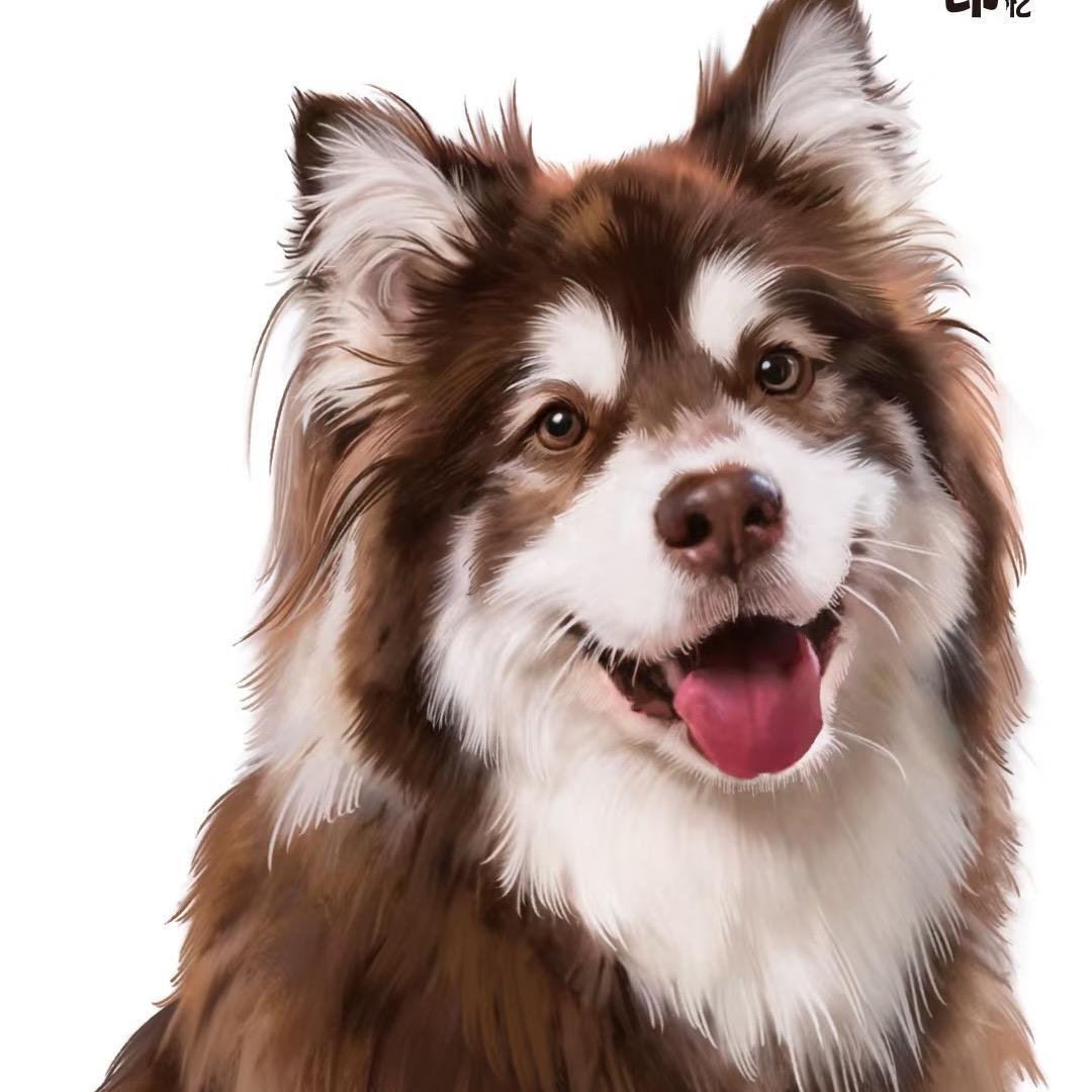 郏县阿拉斯加基地