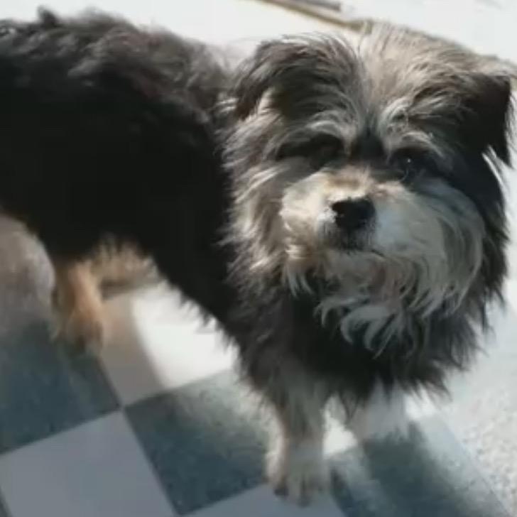 笔记本 手机维修