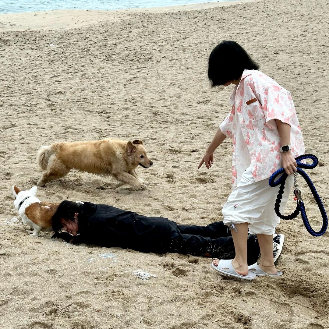 👒花生了什么树