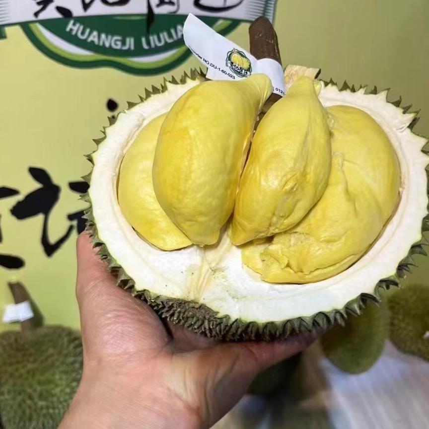 报恩榴莲（泰国空运）