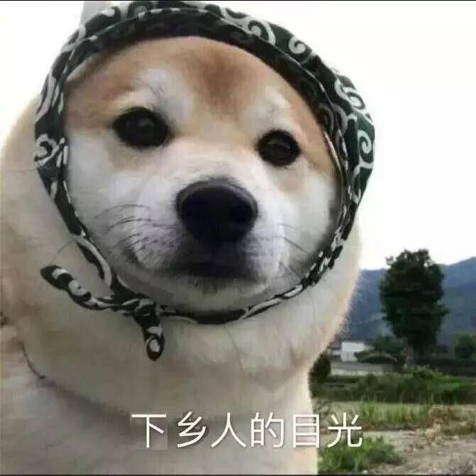 下乡人