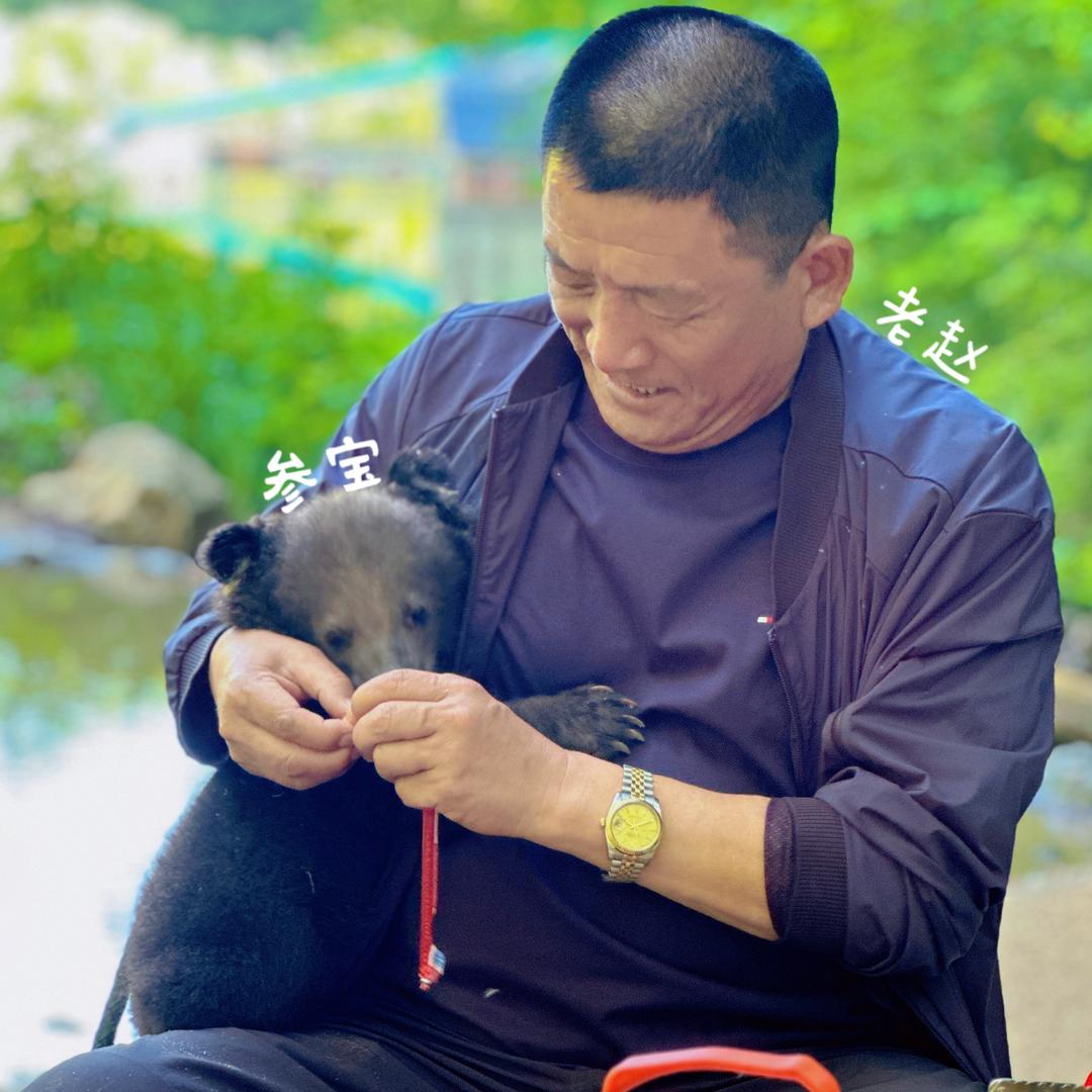 参仙谷主·赵叔