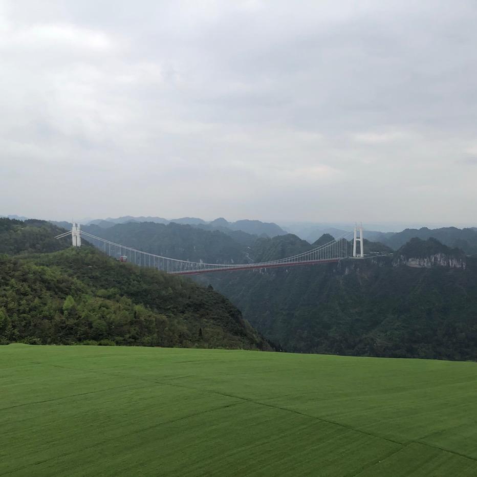 枫🍁🍁