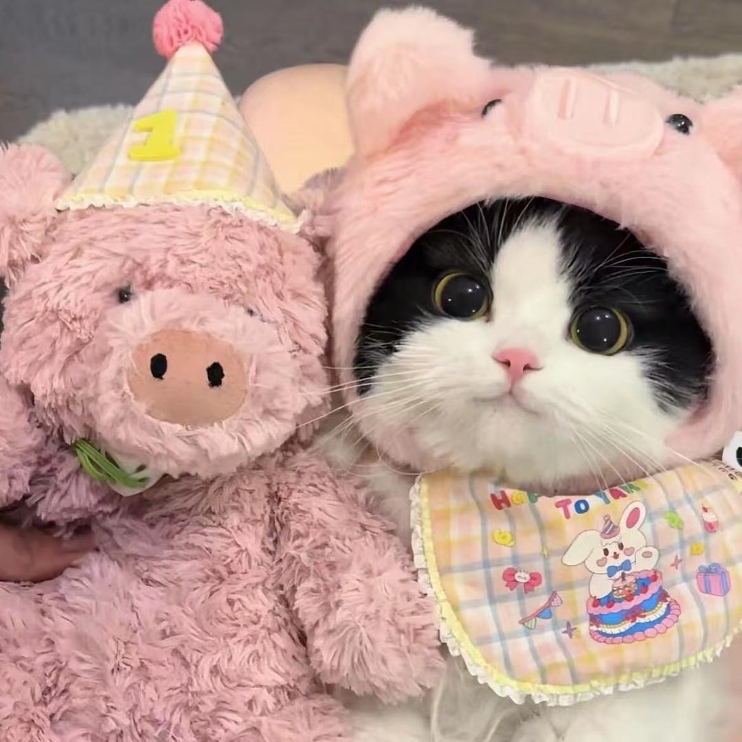美味猫堡