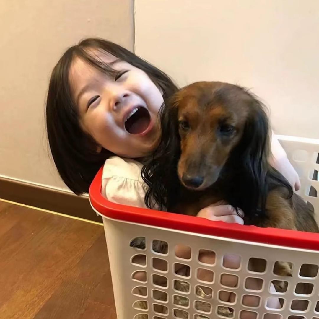 ⁥ ⁥     .