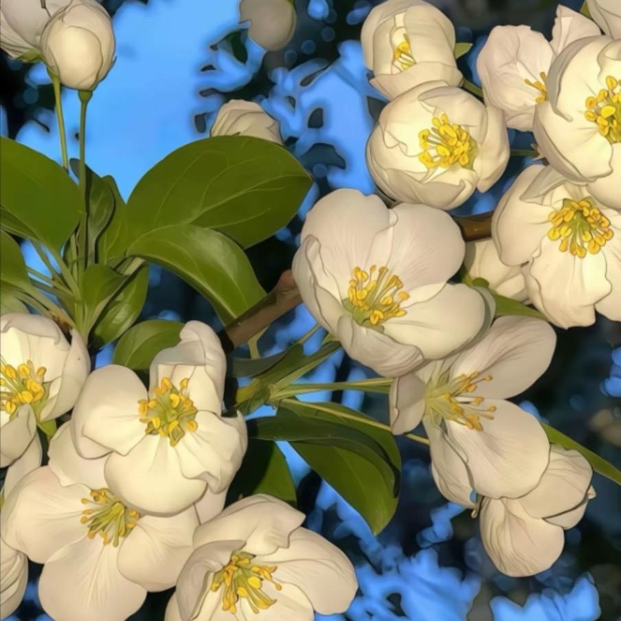 喜欢熬夜的泡椒凤爪