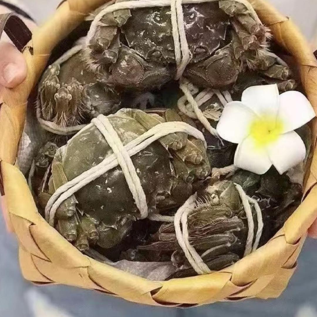 苏州金标蟹零售店