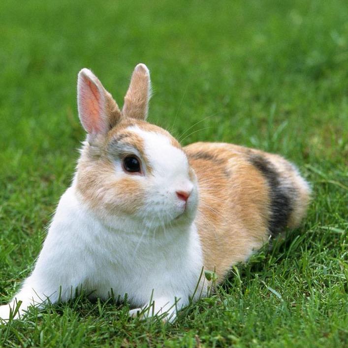 用户34679763767946