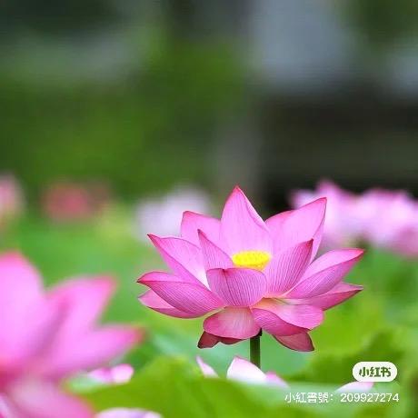 空白格