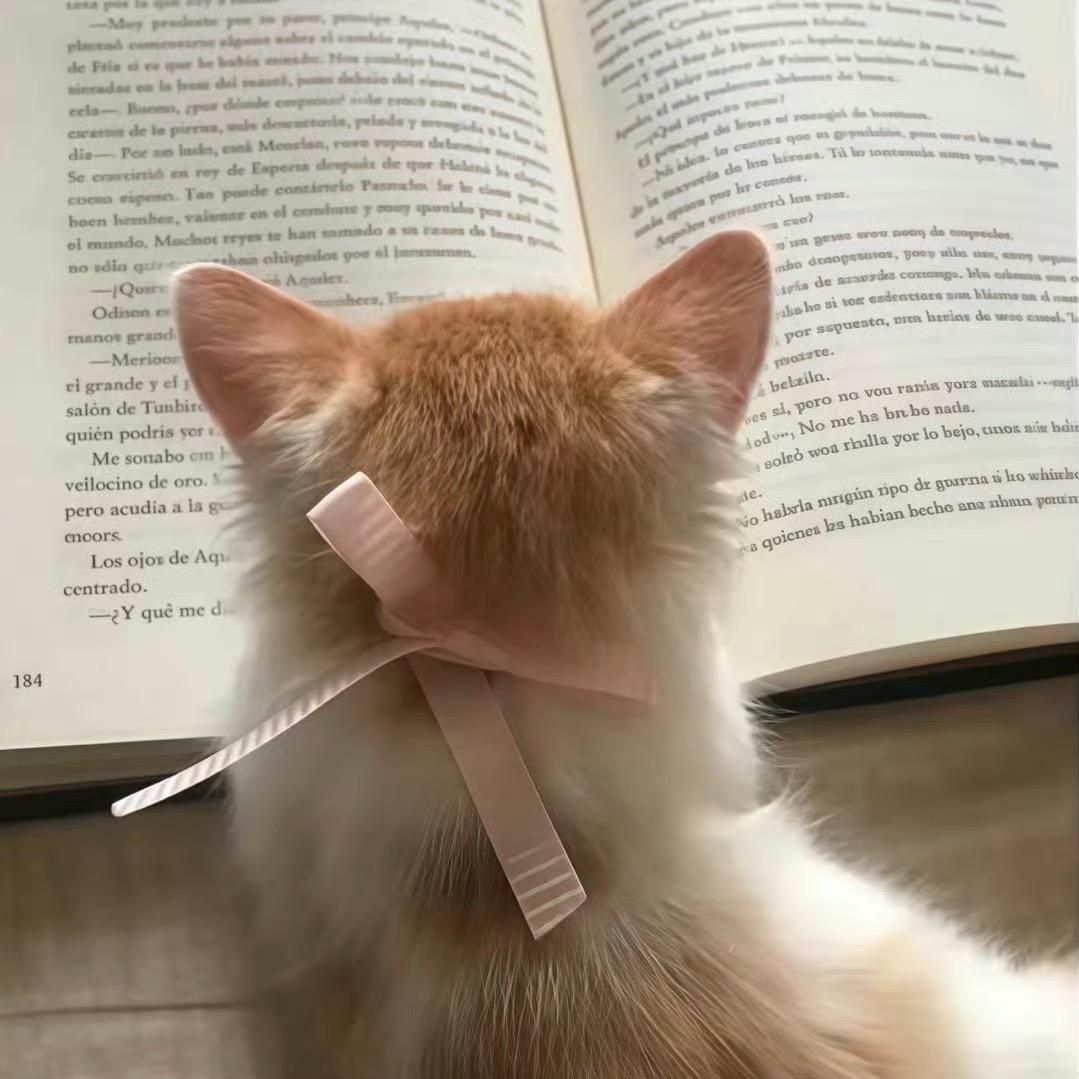 ♡²