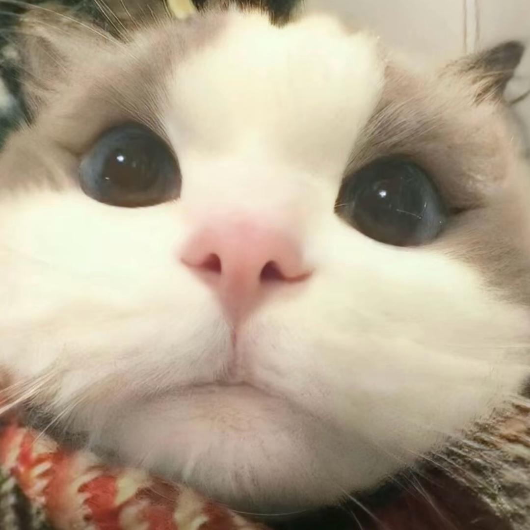 小秋