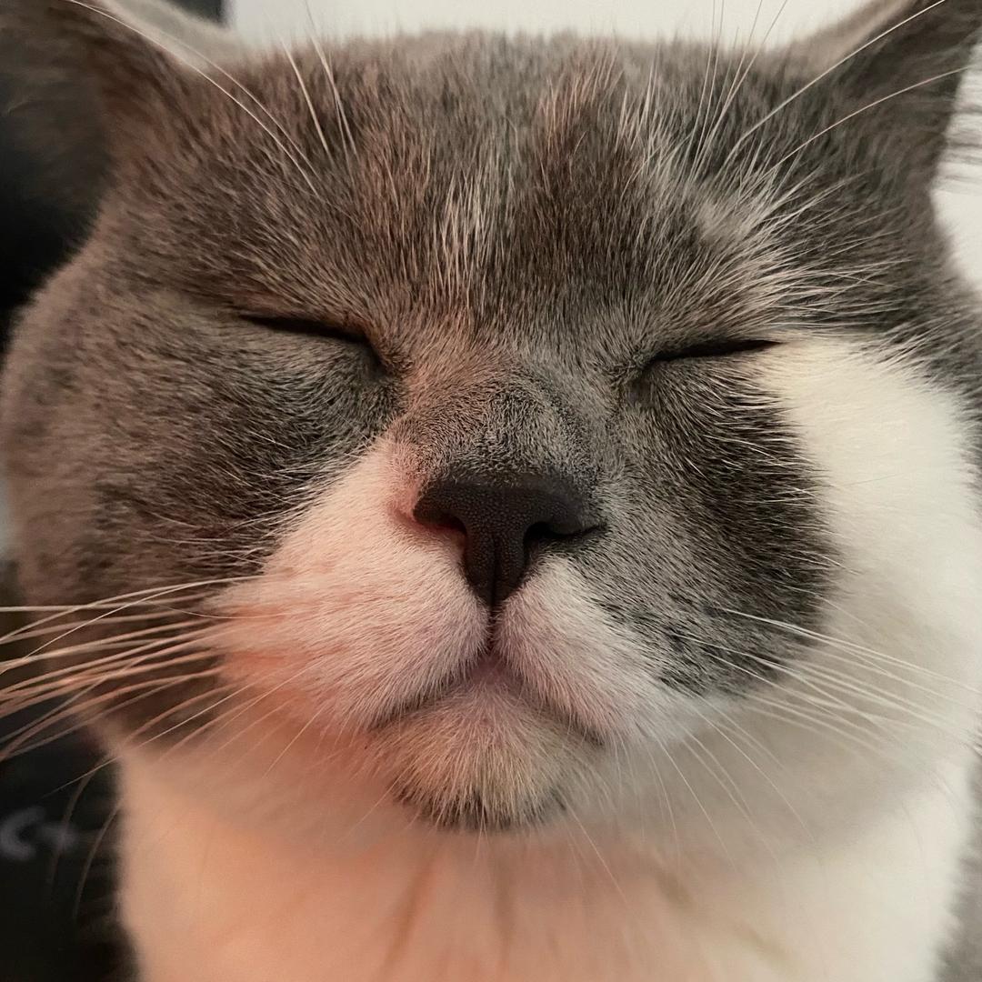 凡人。