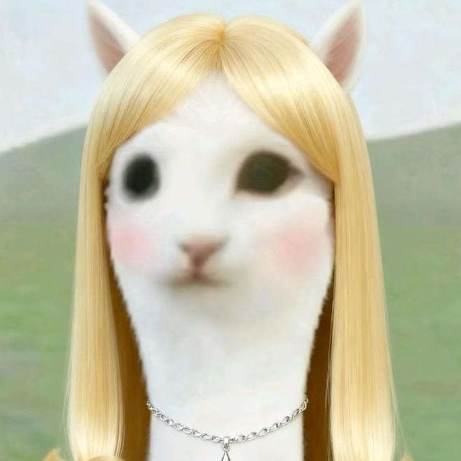 圈圈