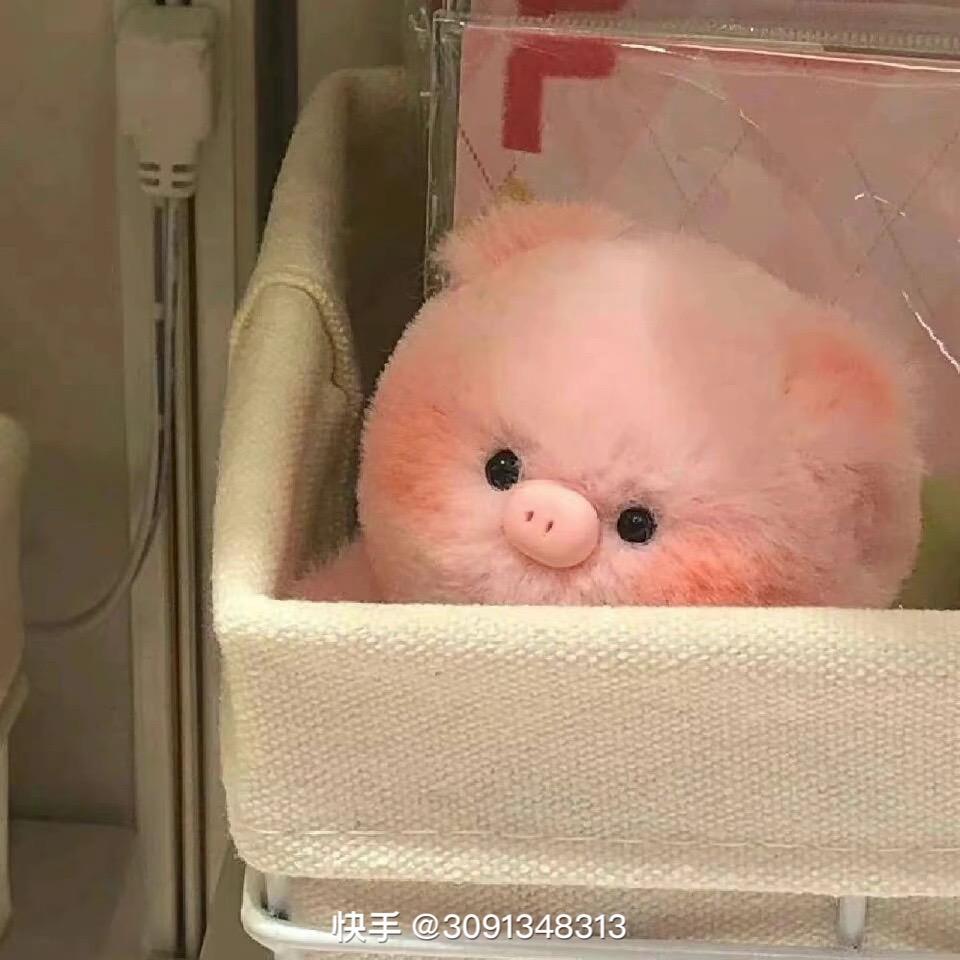 奶猫~