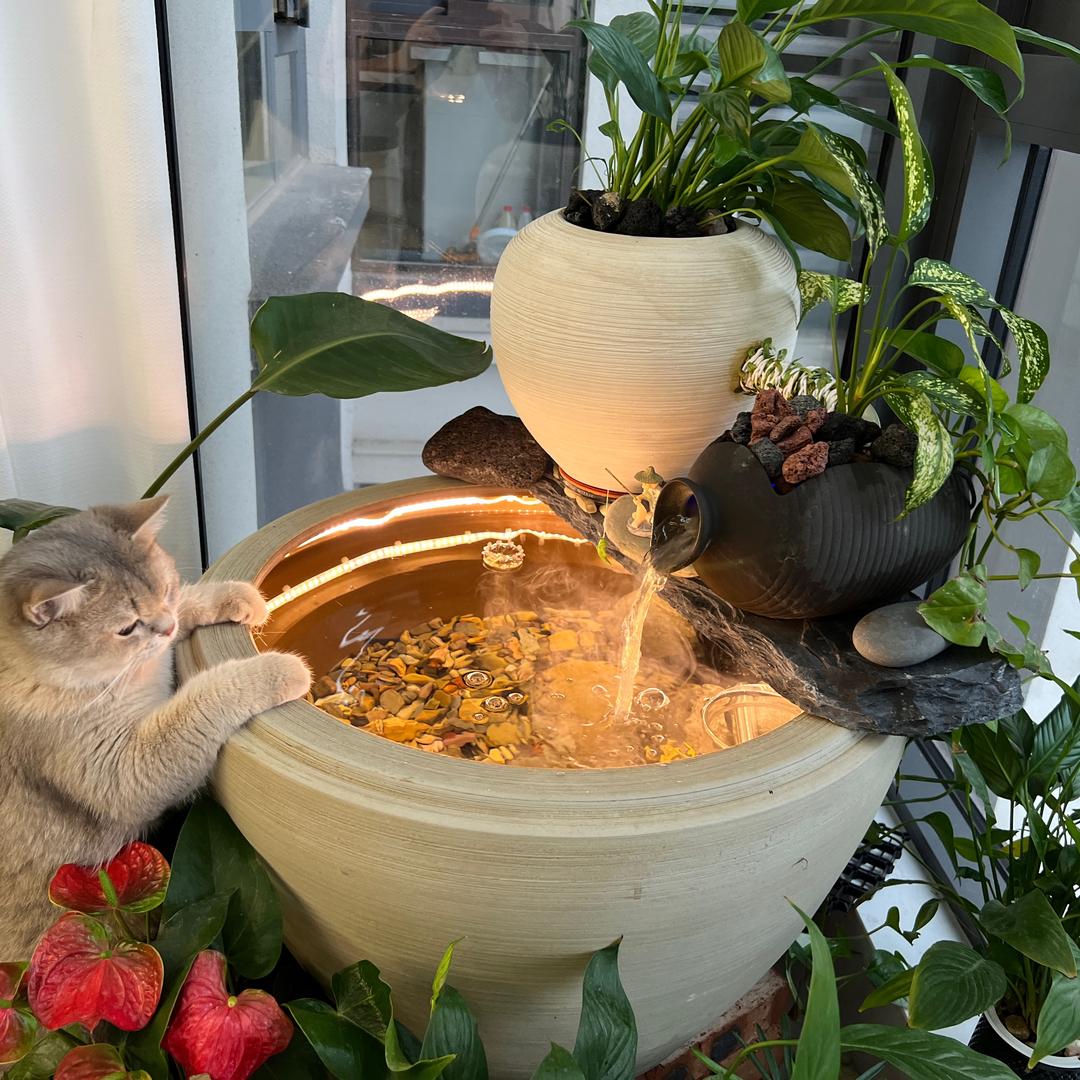 小猫生态养鱼