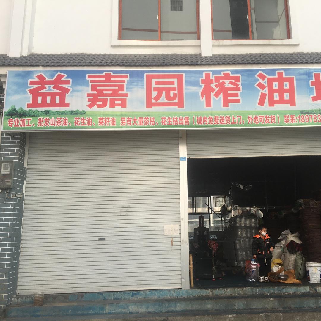 广西吴玉桃九万大山茶籽油