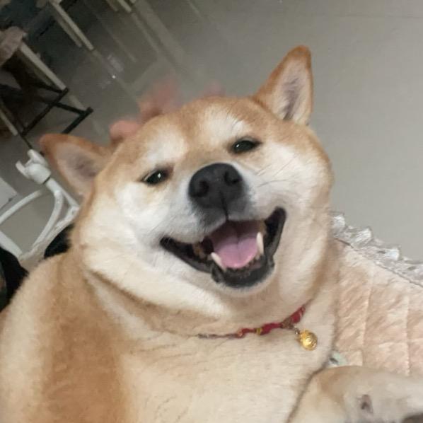 哆啦好物分享